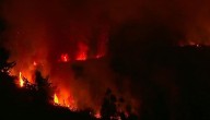 Bomberos combate incendio en cerro de la comuna de Padre Las Casas