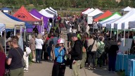 Things to do in Minnesota: 6 things to do this weekend (Sept. 19