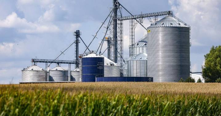 Iowa farmers gearing up for harvest after a beautful week