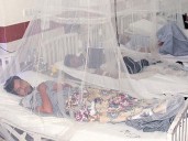 K-P at risk of dengue outbreak following rains