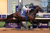 Horse racing column: Here are horses to watch as Santa Anita starts fast