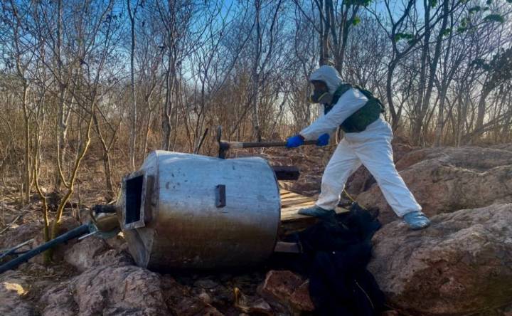 Localizan y destruyen 12 centros de precursores químicos para elaborar drogas sintéticas en Sinaloa