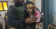 El milagro que ocurrió con la perrita rescatada de la basura