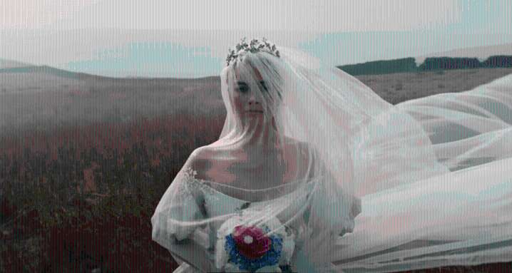 Emerald Fennell's 'Wuthering Heights' News & Updates