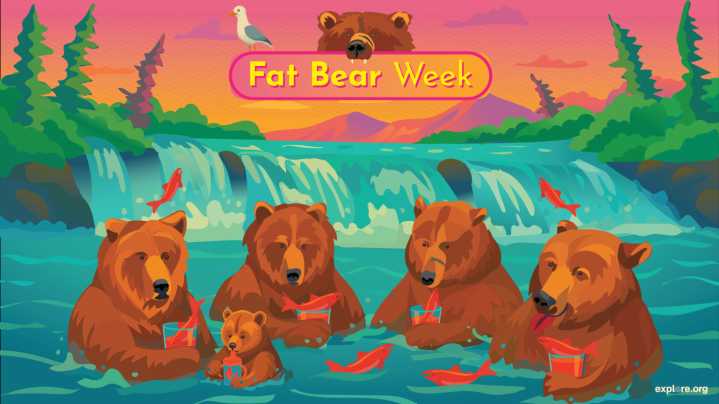 Fat Bear Week crowns its 2025 winner: 32 Chunk the Champ