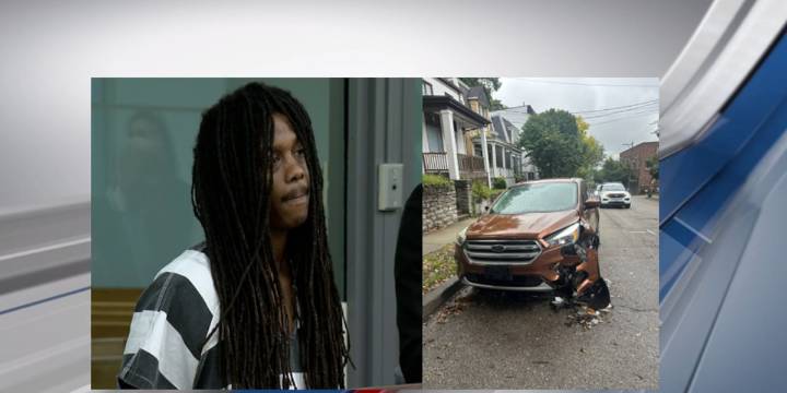 Man threatened people’s lives, killed dog after crashing into parked car: Docs