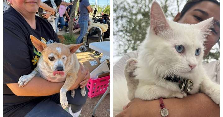 Sube protección animal a rango constitucional en Chihuahua