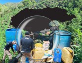 EEUU remarca a Honduras en la lista negra del narcotráfico, oscura señal para la nación
