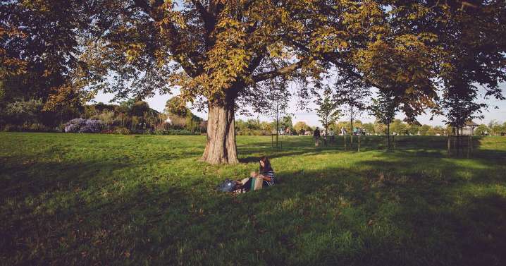 Things you must do to your lawn in autumn: LCFC's former groundsman reveals his pitch secrets