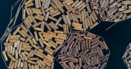 ‘Ni los muebles se salvan de Trump’: Arancel a la madera entrará en vigor en octubre