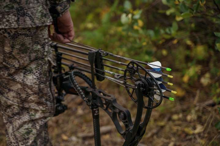 Is $200 a bargain for a big buck? North Ridgeville City Council questions deer hunting changes