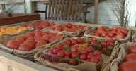 Cost of Produce Rising: Why prices are up and how to make fresh food last longer
