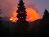 Evacuation Notice Issued As Lower Sugarloaf Fire Grows Rapidly