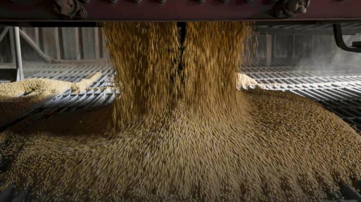 Tras la derrota del Gobierno, el mercado de granos operó con cautela y la soja ganó $10 mil por tonelada