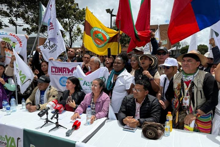 Consulta Campesina: Las 5 preguntas que promoverán la Reforma Agraria y recuperación de tierras