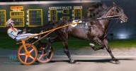 Grand slams for Monti and McDonough at Batavia Downs
