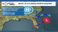 First Coast "Northeaster" explained