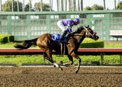 It’s a rerun for Man O Rose at Los Alamitos