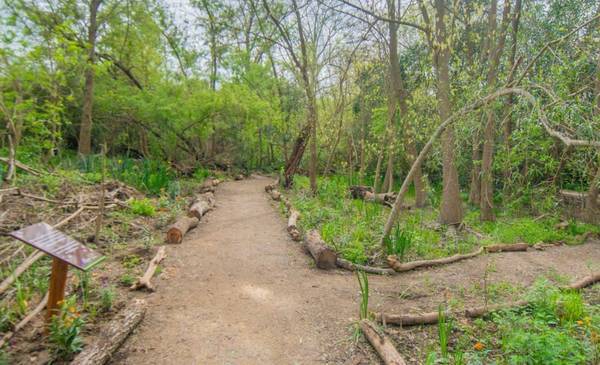 La nueva reserva ecológica de más de 3000 árboles a solo 30 km de CABA