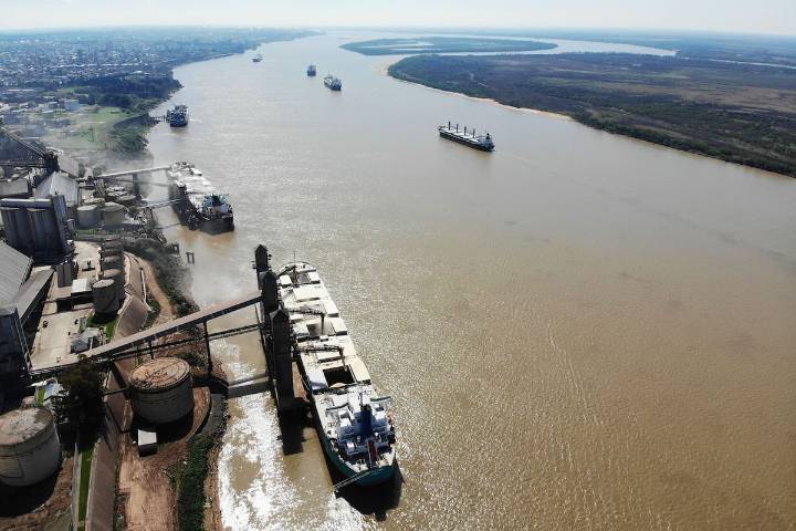 Relevamiento. Siete exportadores se quedaron con el 86% del negocio de las retenciones a cero