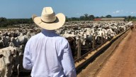 ¿De cuánto será el crédito para ganaderos sonorenses?