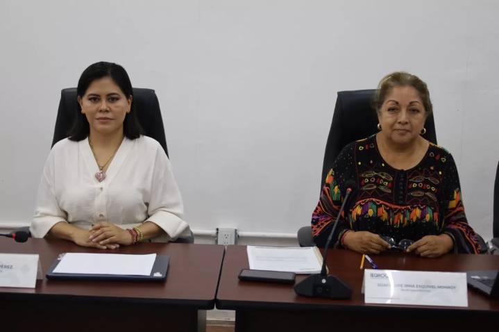 Valoración curricular y entrevistas a aspirantes para la Dirección de Cultura Política y Comunicación Social del IEQROO