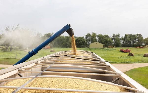 El desaire de China a la soya estadounidense es una crisis para los agricultores de EU