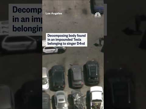 Decomposing body found in an inpounded Tesla belonging to singer D4vd
