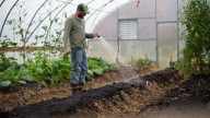 Gobierno prohibe el uso de 35 moléculas plaguicidas ‘altamente peligrosas’