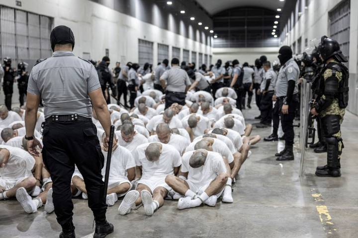 ¿Qué sigue tras decisión de tribunal de bloquear a Trump deportaciones bajo Ley de Enemigos Extranjeros?