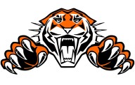 High School Football: Tigers downed by Falcons