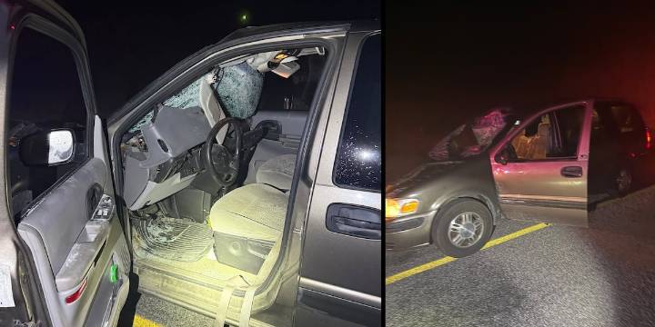 Man taken to hospital after crashing into cow in Cass County