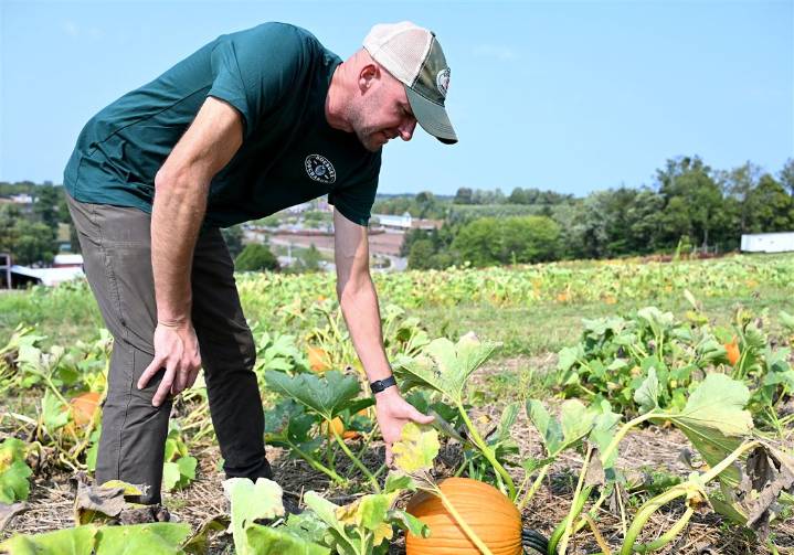 What's the fall weather outlook for Pittsburgh?