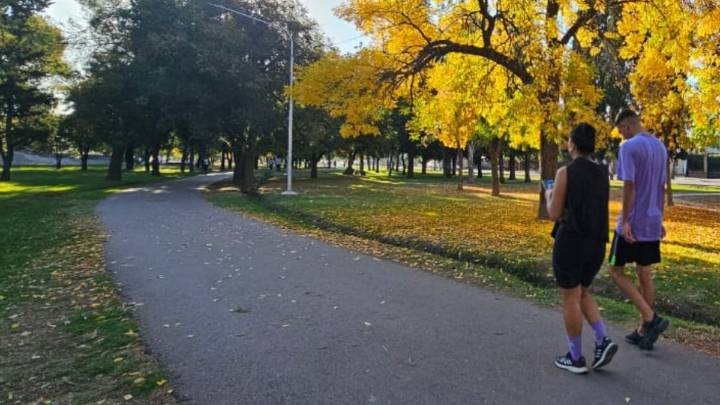 El pronóstico del tiempo para Mendoza anticipó heladas y viento Zonda para el sábado
