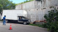 Camión de mudanza choca y derriba árbol de chaká en el periférico de Mérida