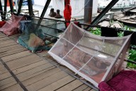 Bangladesh battles rising tide of dengue and chikungunya