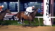 Savvy wagering pays off