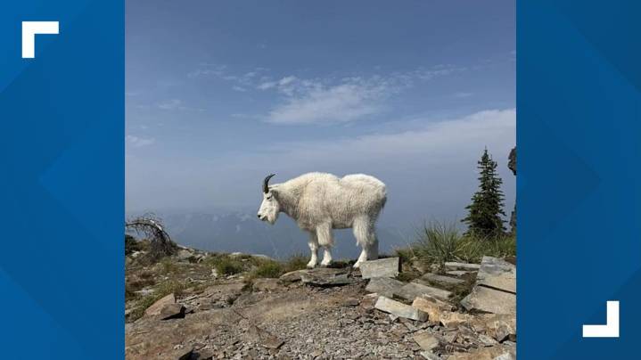 Study ranks Idaho among the best states for walks in the woods