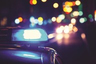 Pedestrian struck and killed on Van Dyke Avenue