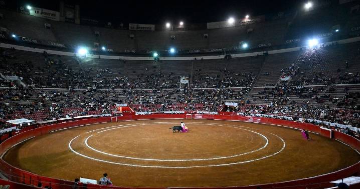 No más Olé: Corte Constitucional de Colombia prohibió las corridas de toros