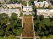 Iowa’s public universities report larger freshman classes