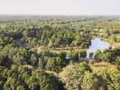 Forest Vision to 2050 launched in Punjab to 'counter climate