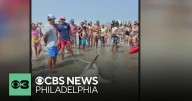 Shark washes up on beach in Wildwood, New Jersey