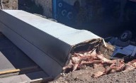 Un camión con carne volcó en Mendoza y la gente intentó llevarse las medias reces