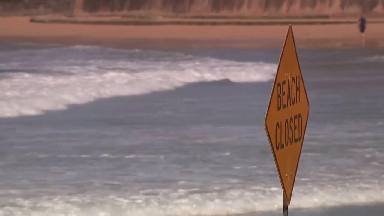 Shark fatally mauls man off beach near Sydney