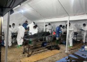 Identifican a 65 cuerpos del crematorio del Terror