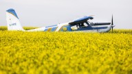 Carney pledges $370M in incentives for canola sector