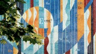 Who gets to do science? A demand for English is hurting marginalised researchers