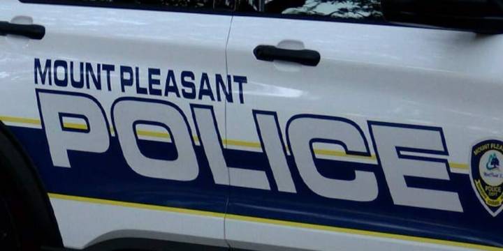 Mount Pleasant home burglary suspect in custody, police say
