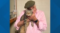 Lost Fairfax County cat reunited with family after being missing for 2 years